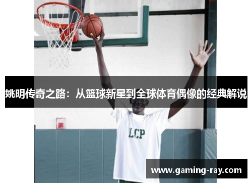 姚明传奇之路：从篮球新星到全球体育偶像的经典解说
